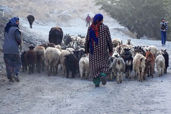 Страны мира. Таджикистан