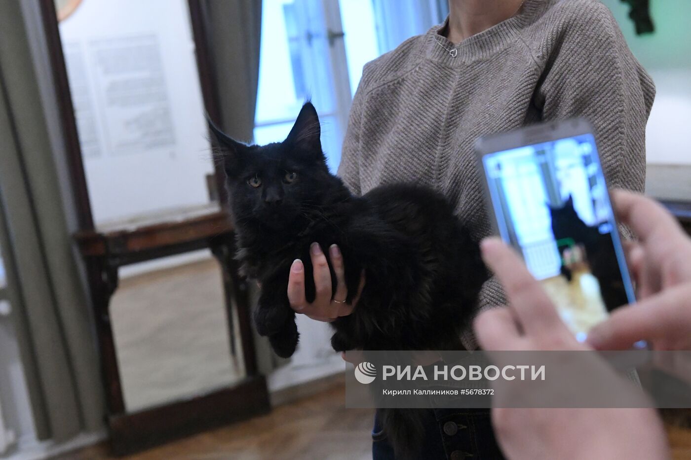 Новый кот Бегемот появился в музее Булгакова