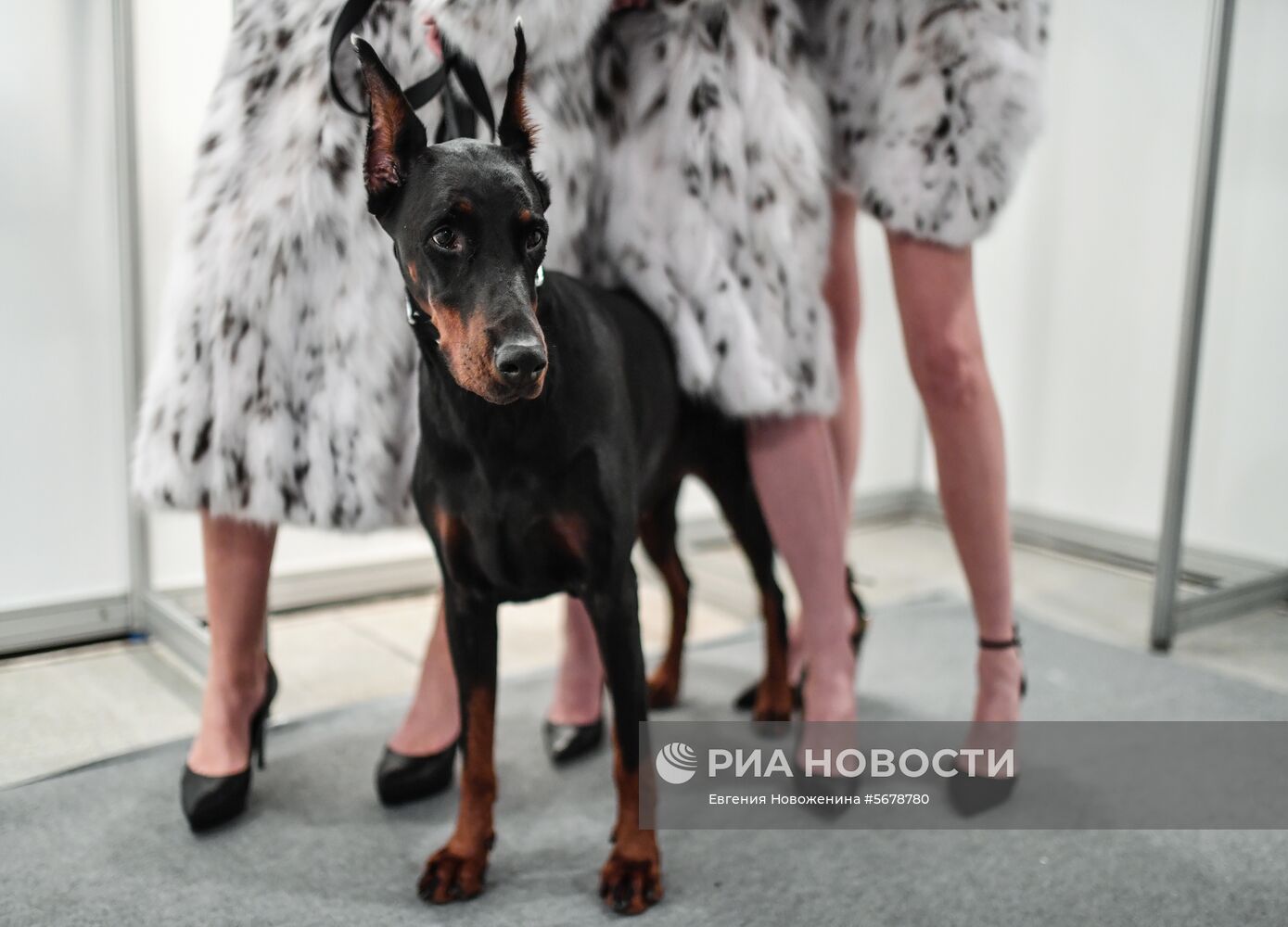 Moscow Fashion Week. День третий