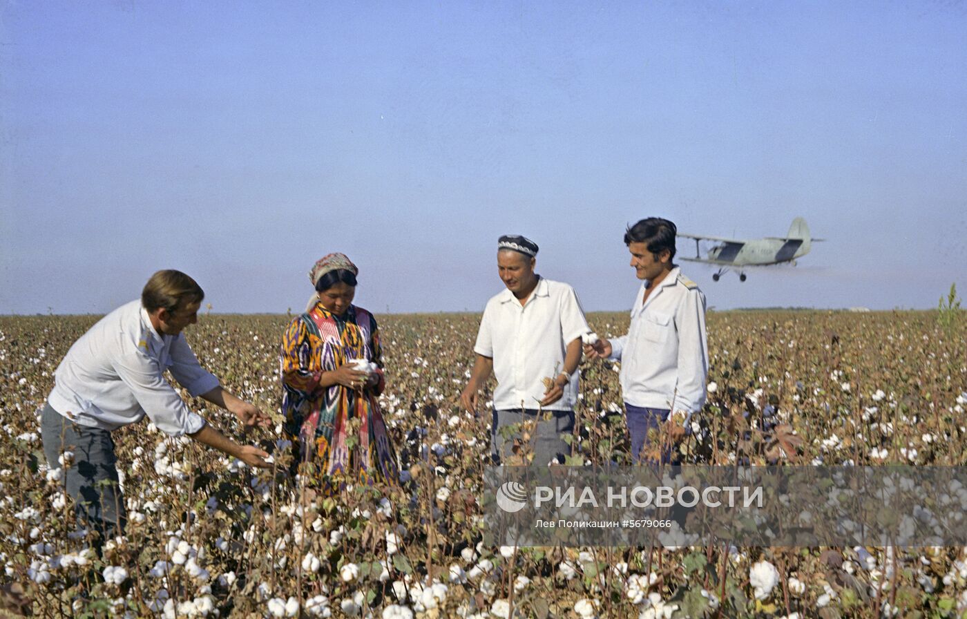 Совхоз "Путь ленинизма" в Туркмении