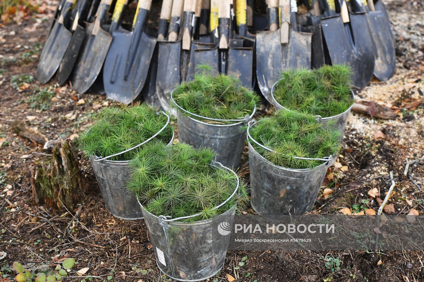 Акция по посадке леса в парке "Лосиный остров"