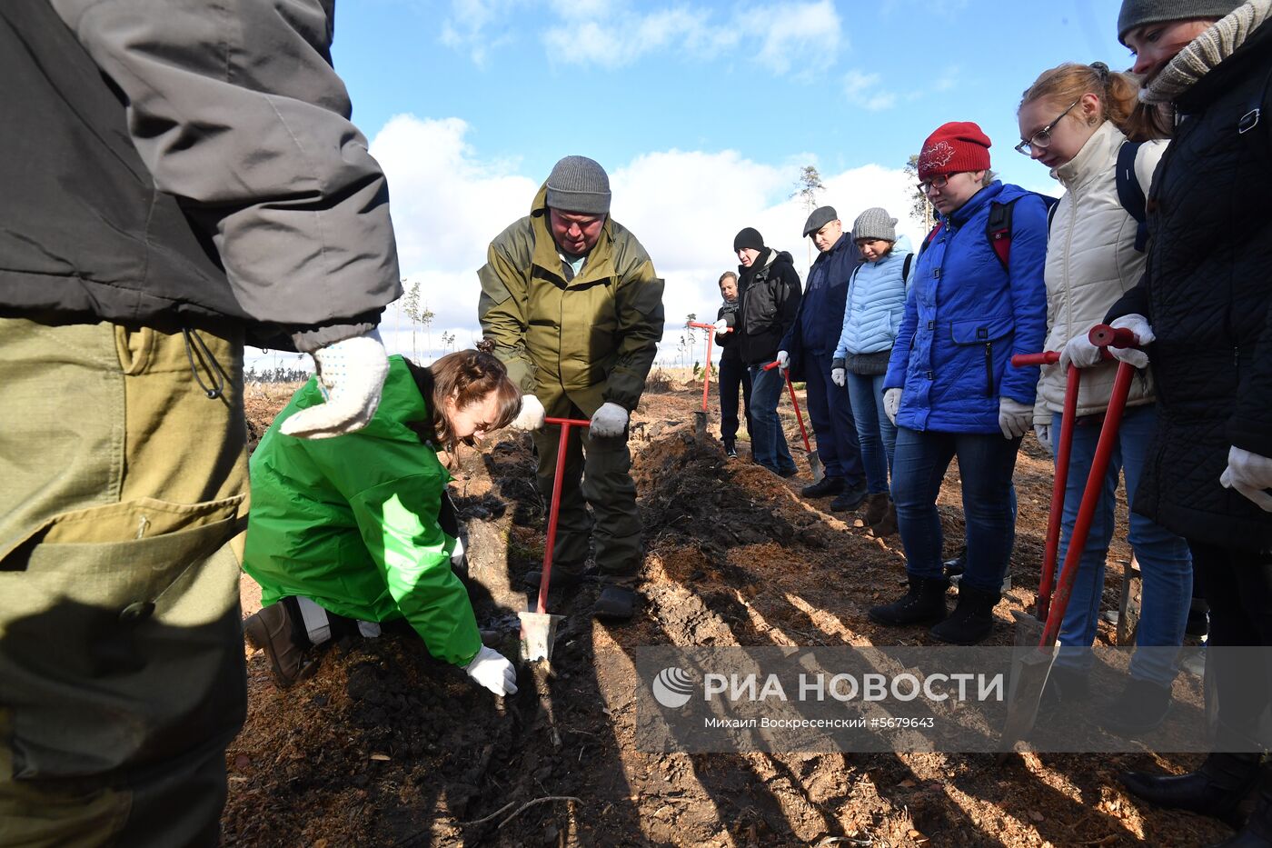 Акция по посадке леса в парке "Лосиный остров"