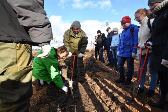 Акция по посадке леса в парке "Лосиный остров"