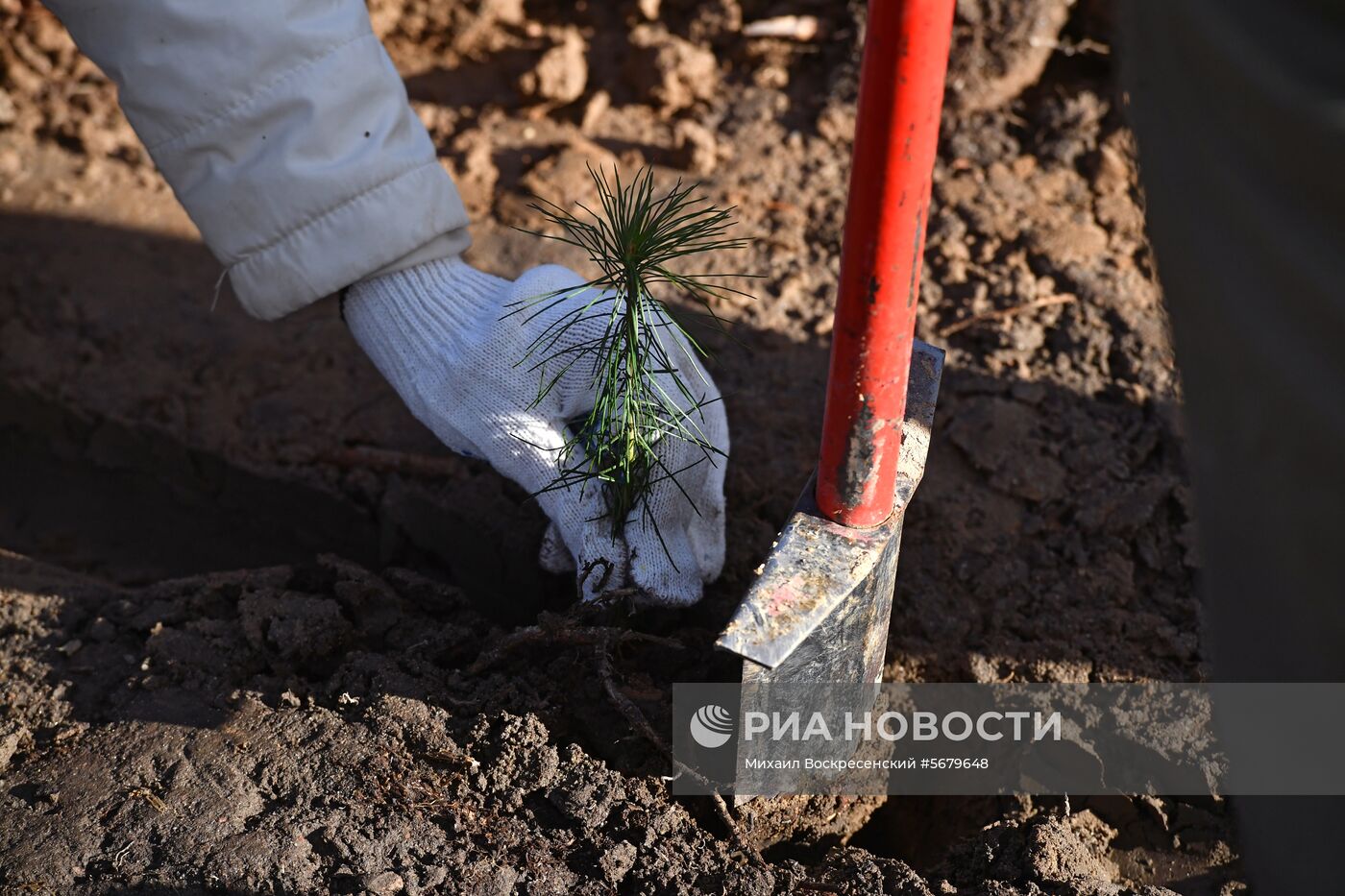 Акция по посадке леса в парке "Лосиный остров"