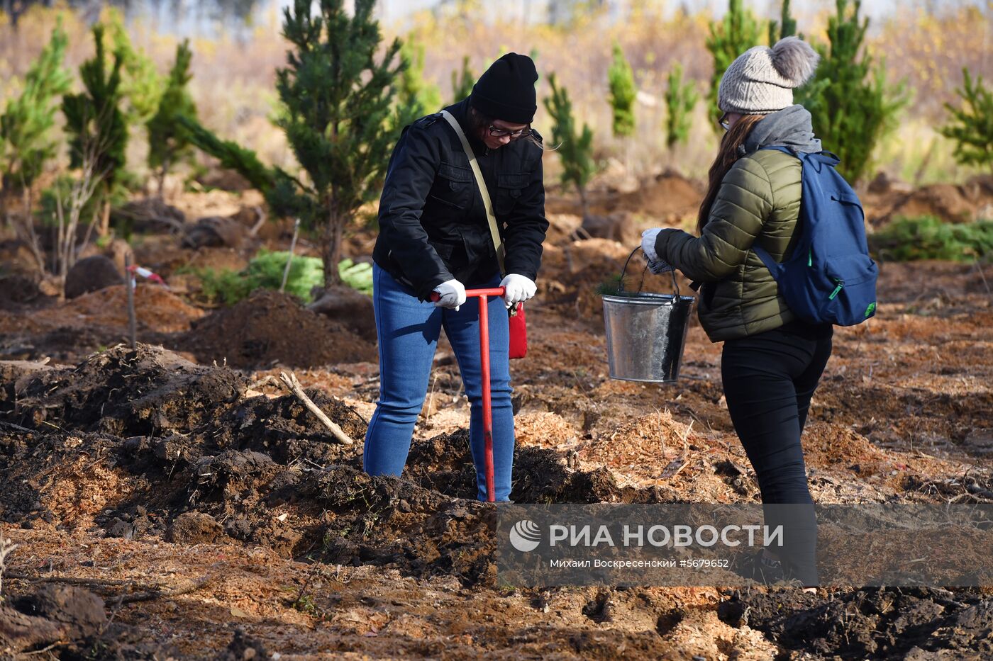 Акция по посадке леса в парке "Лосиный остров"