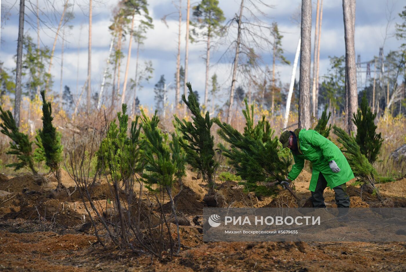 Акция по посадке леса в парке "Лосиный остров"