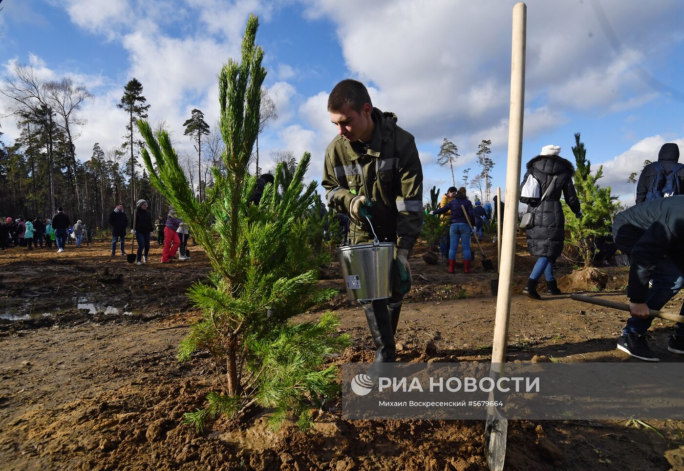 Акция по посадке леса в парке "Лосиный остров"