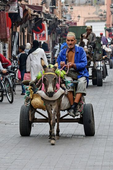 Страны мира. Марокко