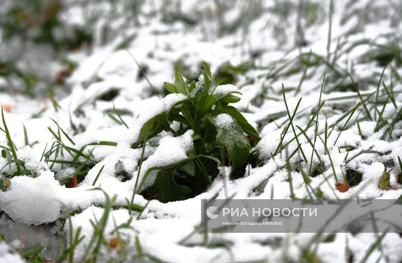 Снег в Казани