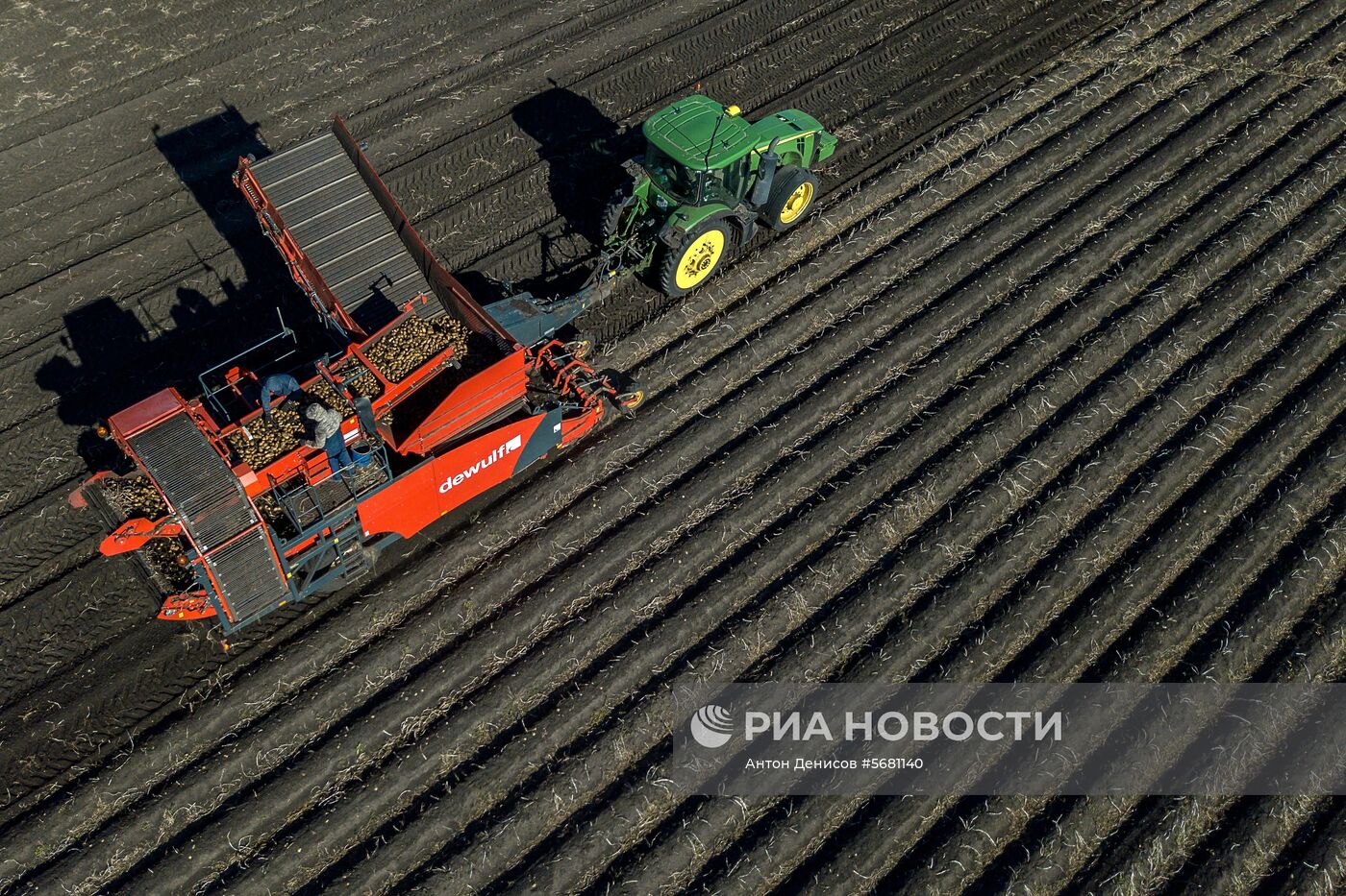 Уборка и переработка первого урожая российского картофеля для "Макдоналдс"