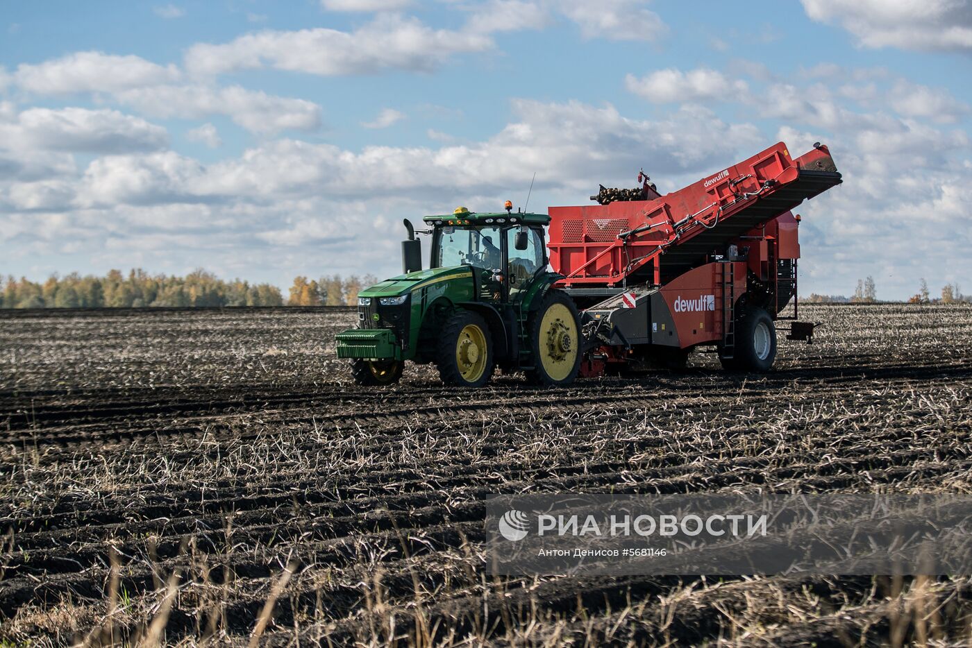 Уборка и переработка первого урожая российского картофеля для "Макдоналдс"