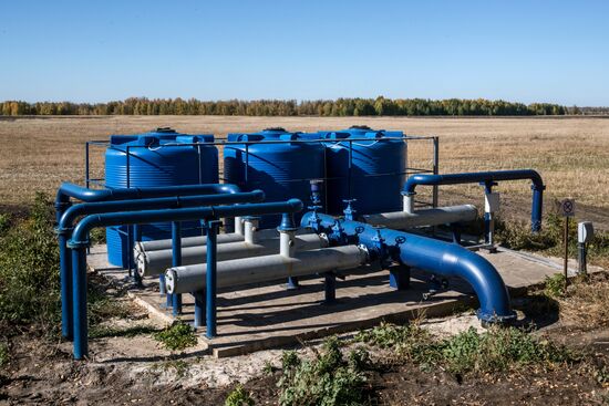 Уборка и переработка первого урожая российского картофеля для "Макдоналдс"