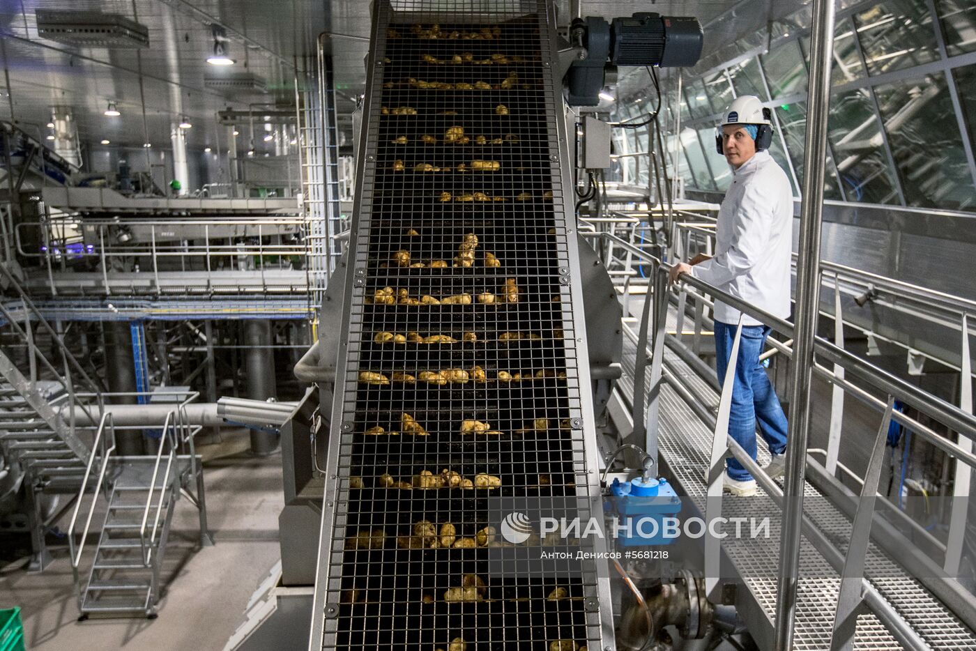 Уборка и переработка первого урожая российского картофеля для "Макдоналдс"