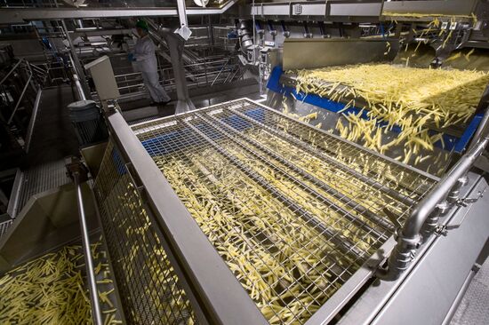 Уборка и переработка первого урожая российского картофеля для "Макдоналдс"