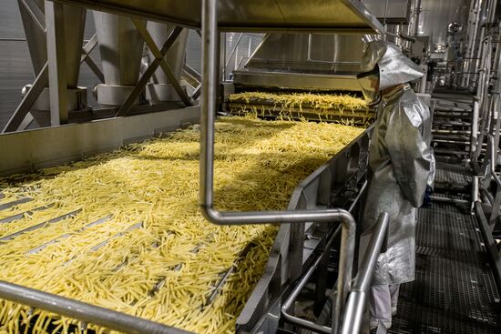 Уборка и переработка первого урожая российского картофеля для "Макдоналдс"