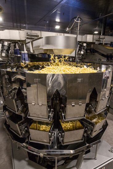 Уборка и переработка первого урожая российского картофеля для "Макдоналдс"