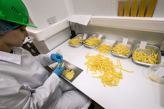 Уборка и переработка первого урожая российского картофеля для "Макдоналдс"