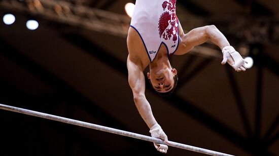 Спортивная гимнастика. Чемпионат мира. Мужчины. Командное многоборье