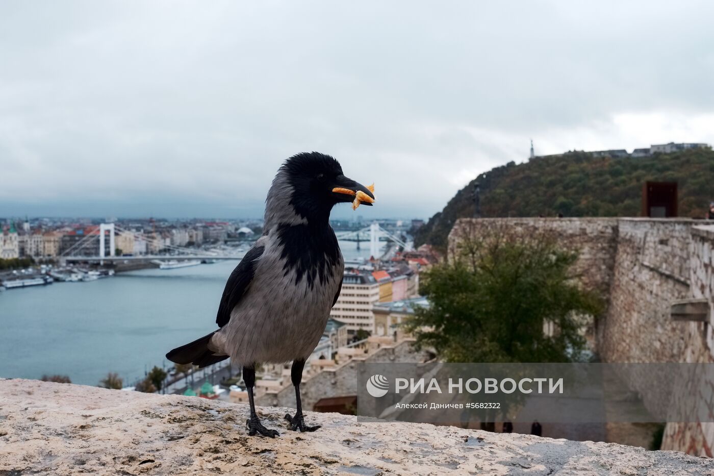 Города мира. Будапешт