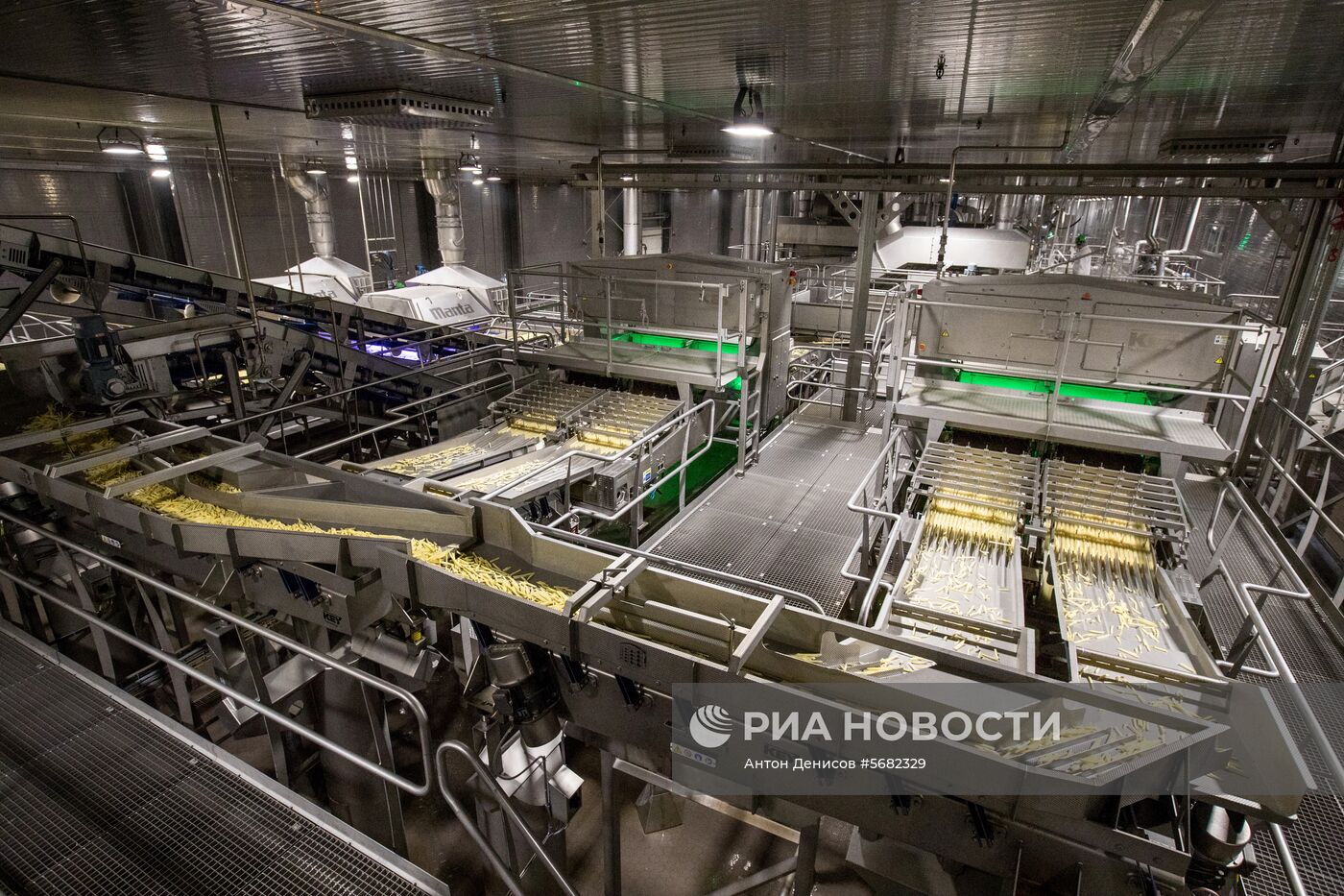 Уборка и переработка первого урожая российского картофеля для "Макдоналдс"