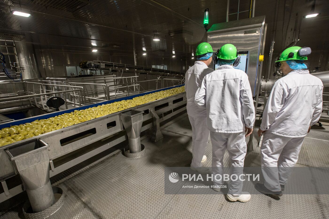 Уборка и переработка первого урожая российского картофеля для "Макдоналдс"