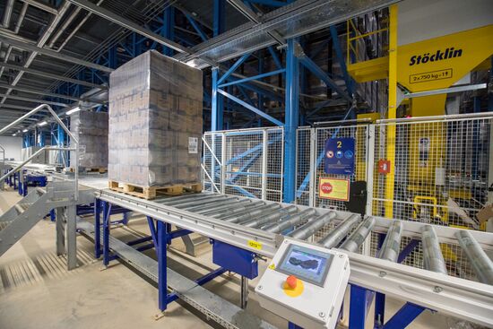 Уборка и переработка первого урожая российского картофеля для "Макдоналдс"