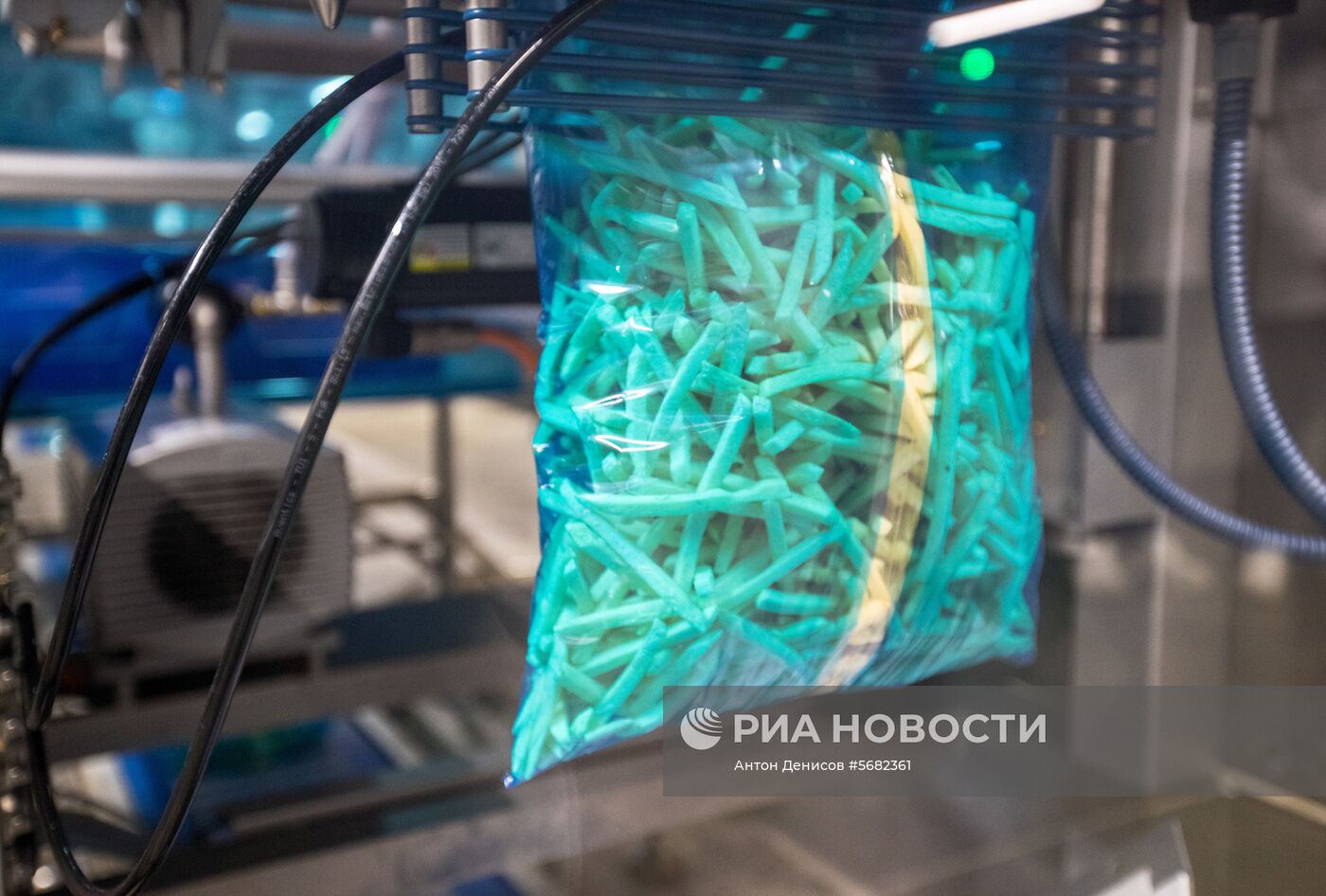 Уборка и переработка первого урожая российского картофеля для "Макдоналдс"