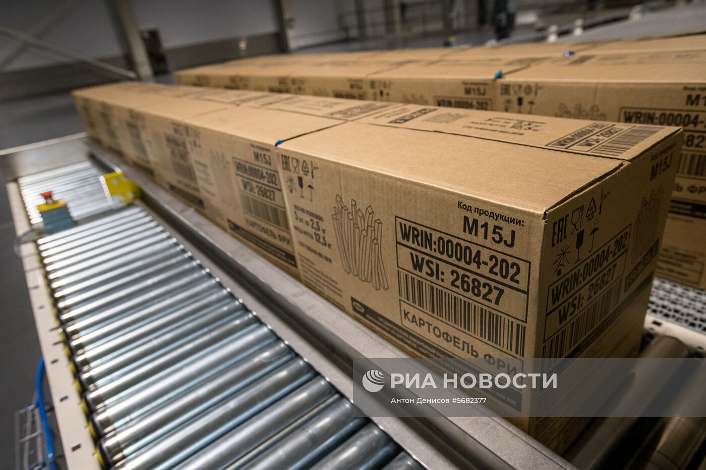 Уборка и переработка первого урожая российского картофеля для "Макдоналдс"