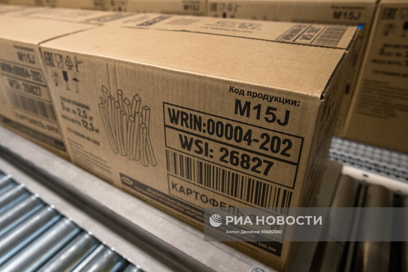 Уборка и переработка первого урожая российского картофеля для "Макдоналдс"