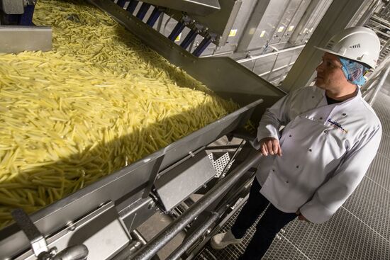 Уборка и переработка первого урожая российского картофеля для "Макдоналдс"