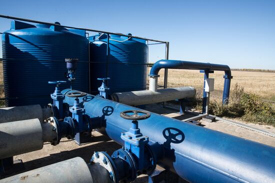 Уборка и переработка первого урожая российского картофеля для "Макдоналдс"