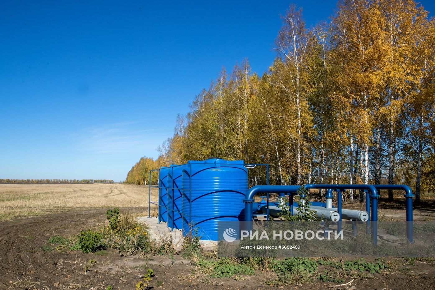 Уборка и переработка первого урожая российского картофеля для "Макдоналдс"