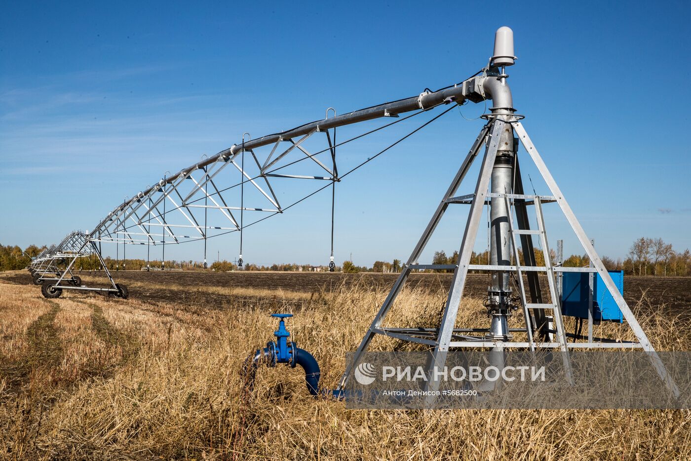 Уборка и переработка первого урожая российского картофеля для "Макдоналдс"