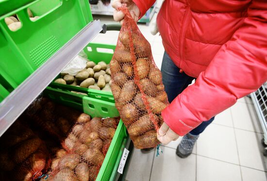 Продажа картофеля в Москве 