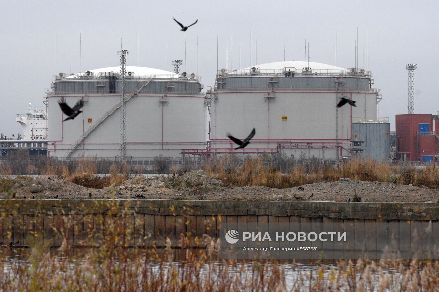 Продажа дизельного топлива в регионах России