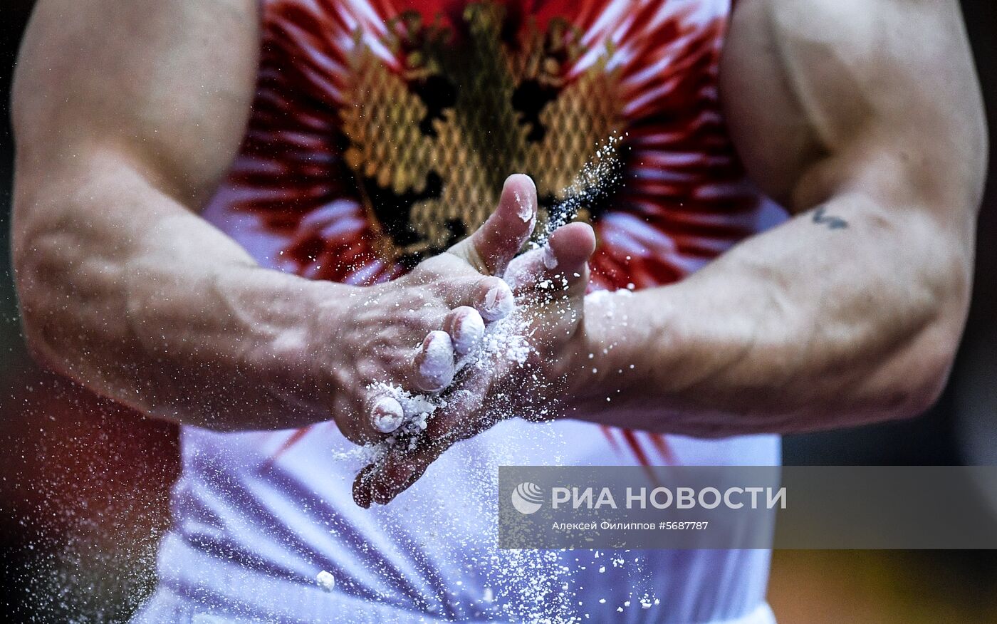 Спортивная гимнастика. Чемпионат мира. Отдельные снаряды. Второй день