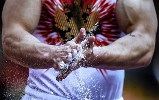 Спортивная гимнастика. Чемпионат мира. Отдельные снаряды. Второй день