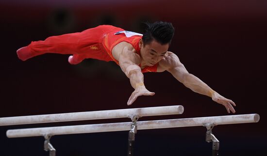 Спортивная гимнастика. Чемпионат мира. Отдельные снаряды. Второй день