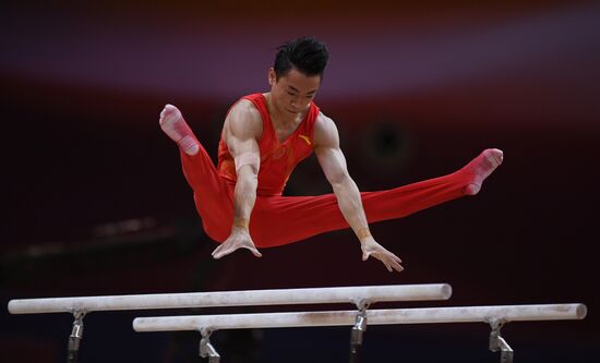 Спортивная гимнастика. Чемпионат мира. Отдельные снаряды. Второй день