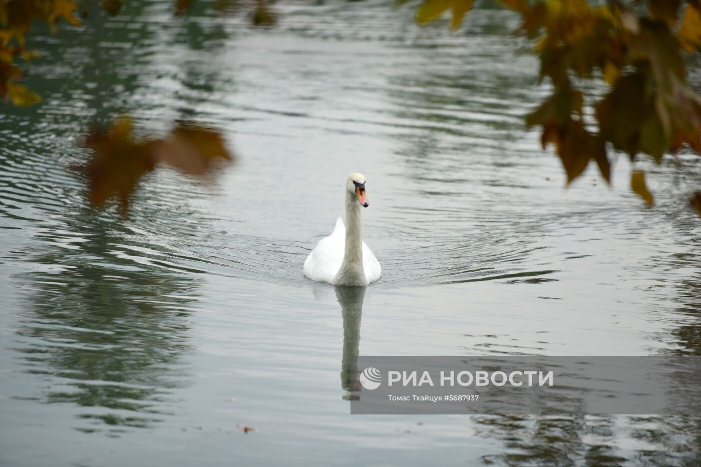 Осень в Абхазии