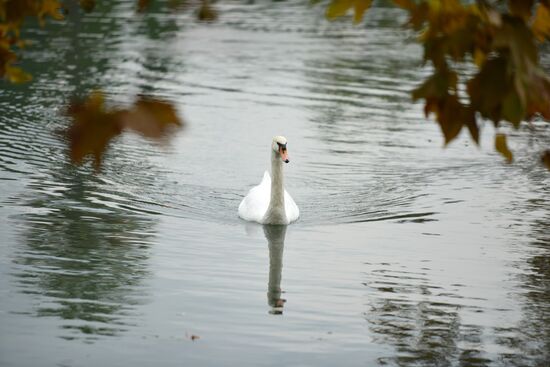 Осень в Абхазии