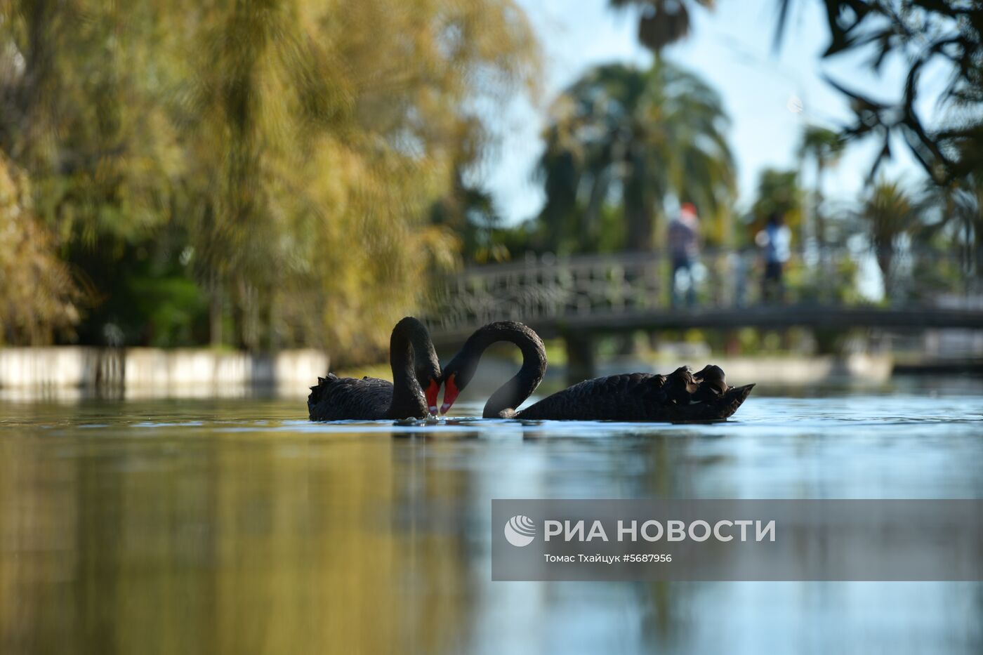 Осень в Абхазии