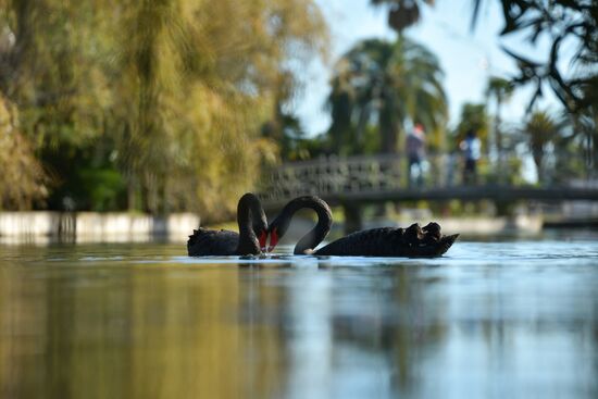 Осень в Абхазии