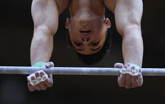 Спортивная гимнастика. Чемпионат мира. Отдельные снаряды. Второй день