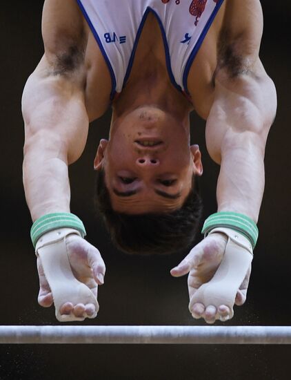 Спортивная гимнастика. Чемпионат мира. Отдельные снаряды. Второй день