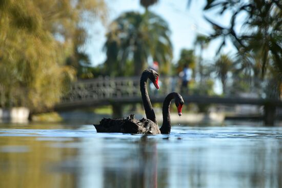 Осень в Абхазии