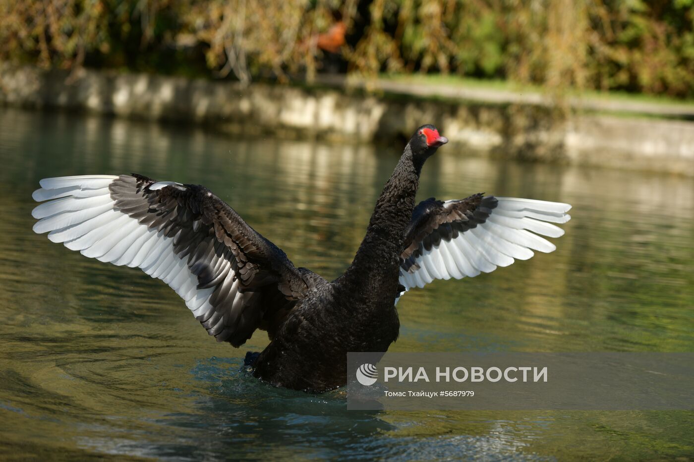 Осень в Абхазии