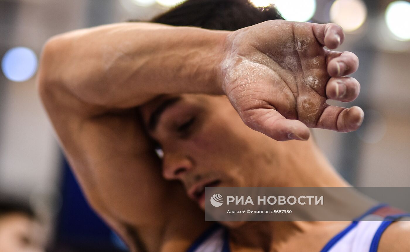 Спортивная гимнастика. Чемпионат мира. Отдельные снаряды. Второй день