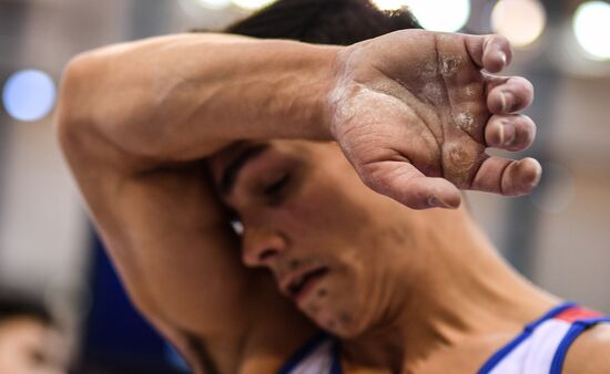 Спортивная гимнастика. Чемпионат мира. Отдельные снаряды. Второй день