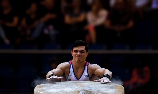 Спортивная гимнастика. Чемпионат мира. Отдельные снаряды. Второй день